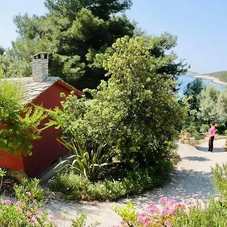 Meneghello Palmizana Art Villa *