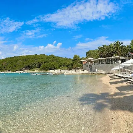 Villa Meneghello Palmizana Art *