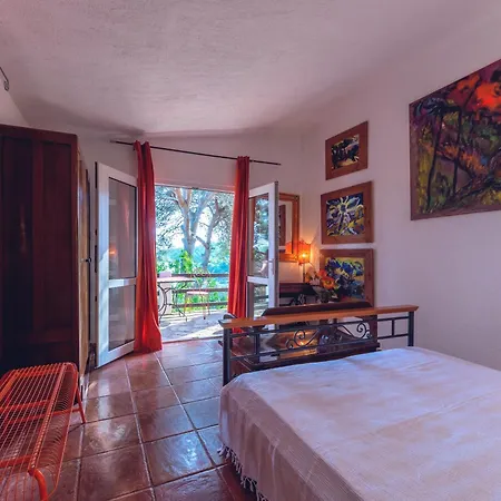 Meneghello Palmizana Art هفار
