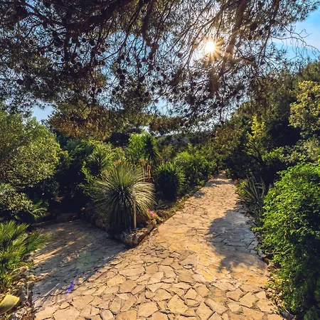 Meneghello Palmizana Art Villa *