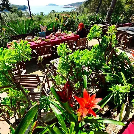 Villa Meneghello Palmizana Art